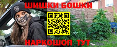 индика Гай
