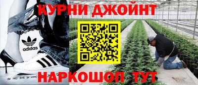 гашик Гагарин