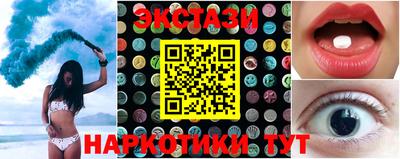 индика Гай