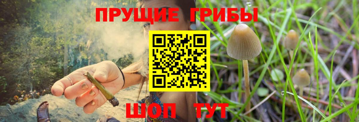 Галлюциногенные грибы мицелий  Вход с VPN  Наро-Фоминск 